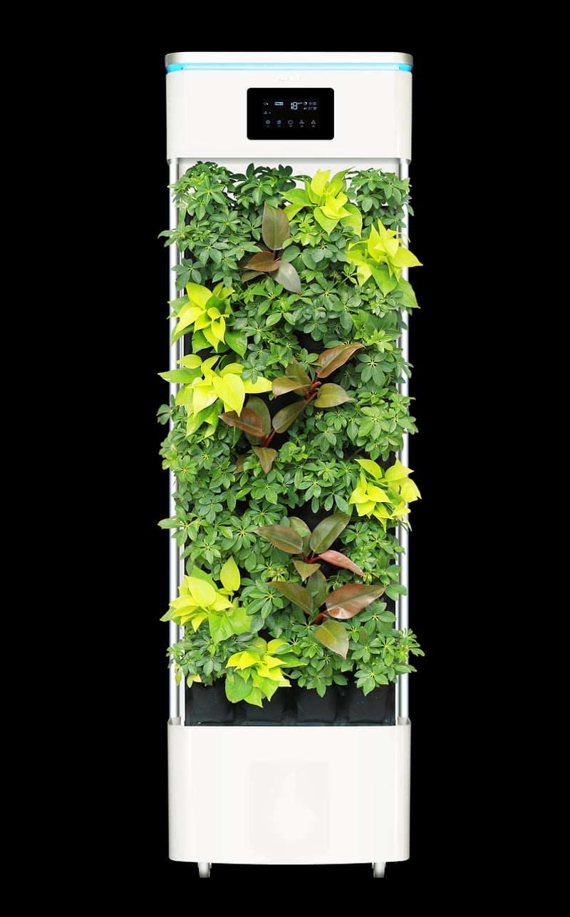 Air-Purifying Species